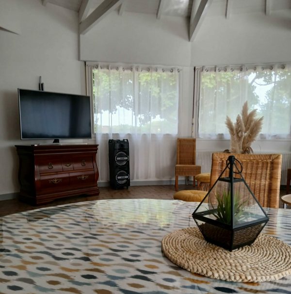 gite-chene-papinot-deux-sevres-deco-interieur-moderne (1)