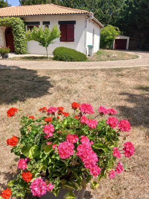 gite-chene-papinot-deux-sevres-exterieur-fleuri (1)